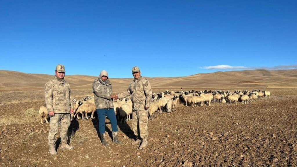 erzincanda kaybolan 330 koyun jandarma tarafindan bulundu PW3YnZve