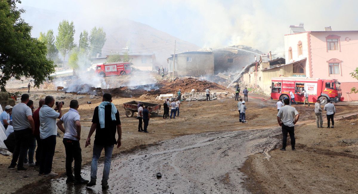 Erzurum'da alevlerin arasına girip kediyi kurtardı 1 erzurumda alevlerin arasina girip kediyi kurtardi 0 G3dBQ853