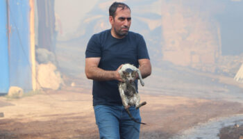 erzurumda alevlerin arasina girip kediyi kurtardi MWBVAQCe