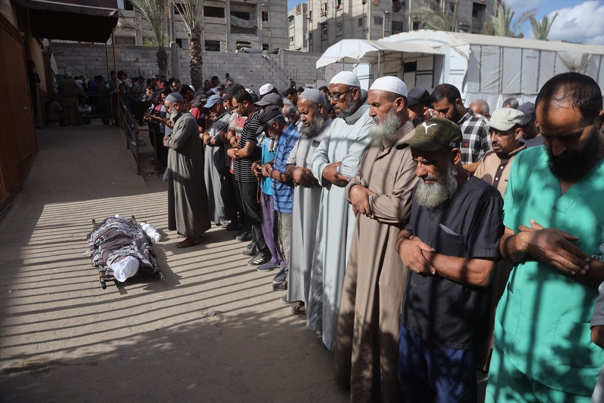 gazzenin guneyinde son 24 saatte 13 bebek oldu 11 MZiA1zel