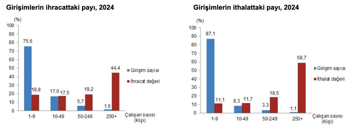 girisim ozelliklerine gore dis ticaret yayimlandi 1