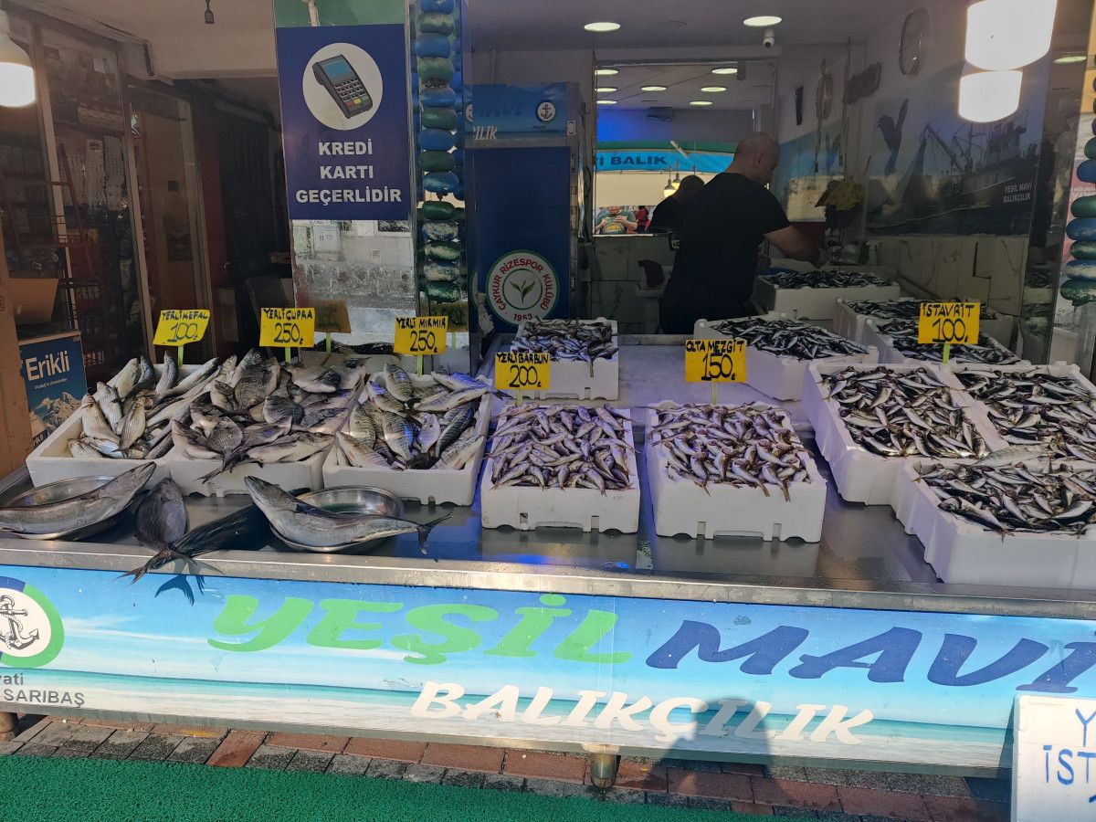 hamsiyi tezgaha erken dustu iste fiyatlar 0