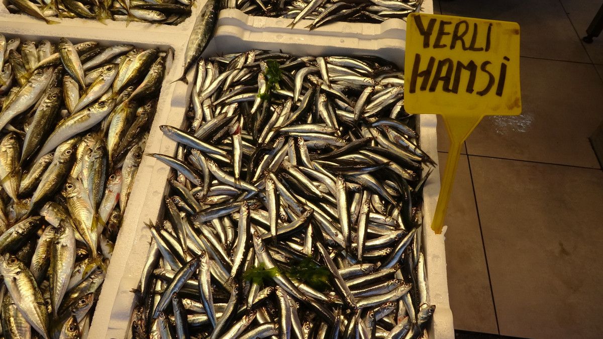 hamsiyi tezgaha erken dustu iste fiyatlar 2 FAjpszcN