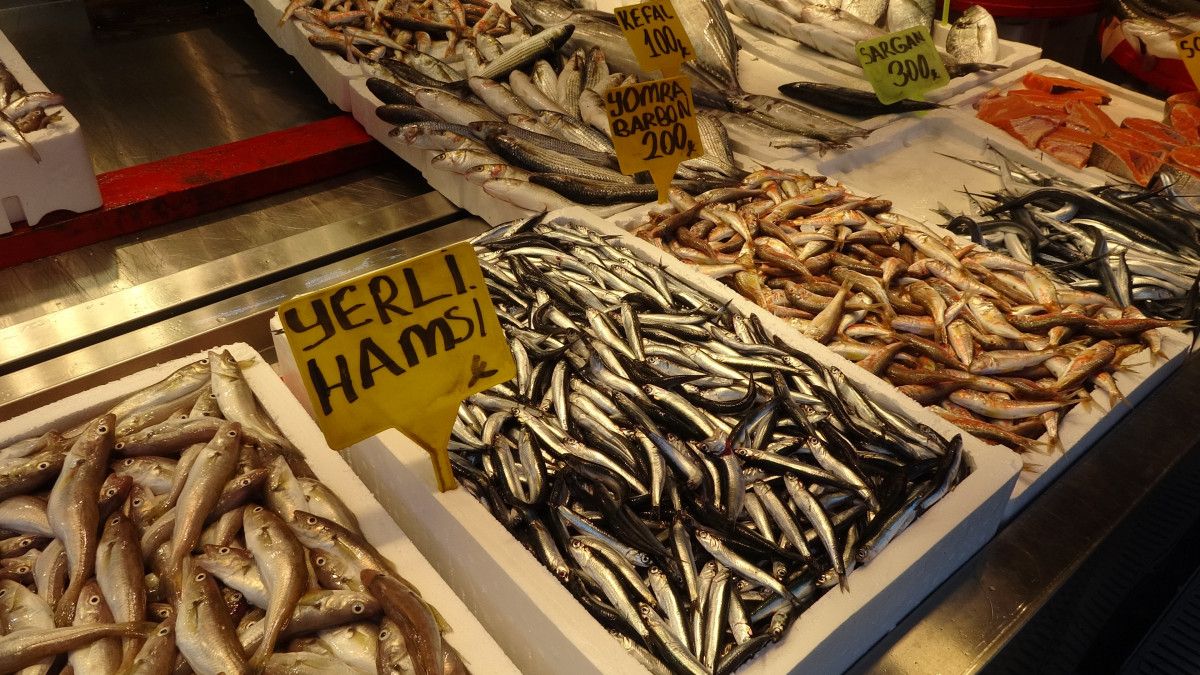 hamsiyi tezgaha erken dustu iste fiyatlar 4 if1VM874