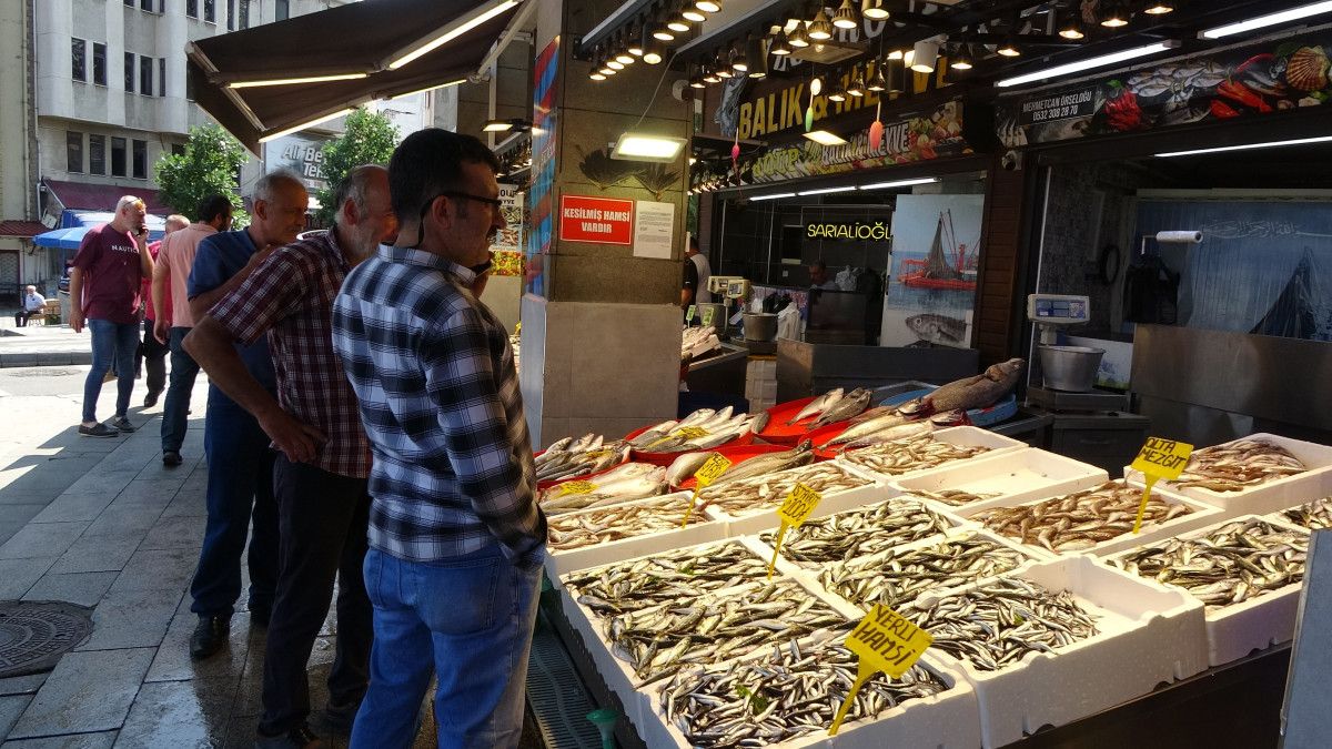 hamsiyi tezgaha erken dustu iste fiyatlar 6