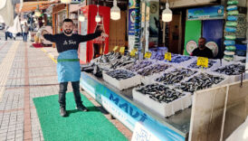 hamsiyi tezgaha erken dustu iste fiyatlar VgGAaBlQ