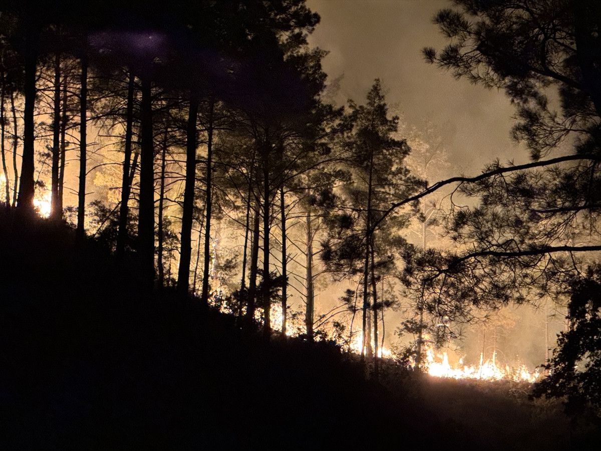 ibrahim yumakli turkiye genelindeki yanginlara iliskin son durumu paylasti 3 7E5WLWmj