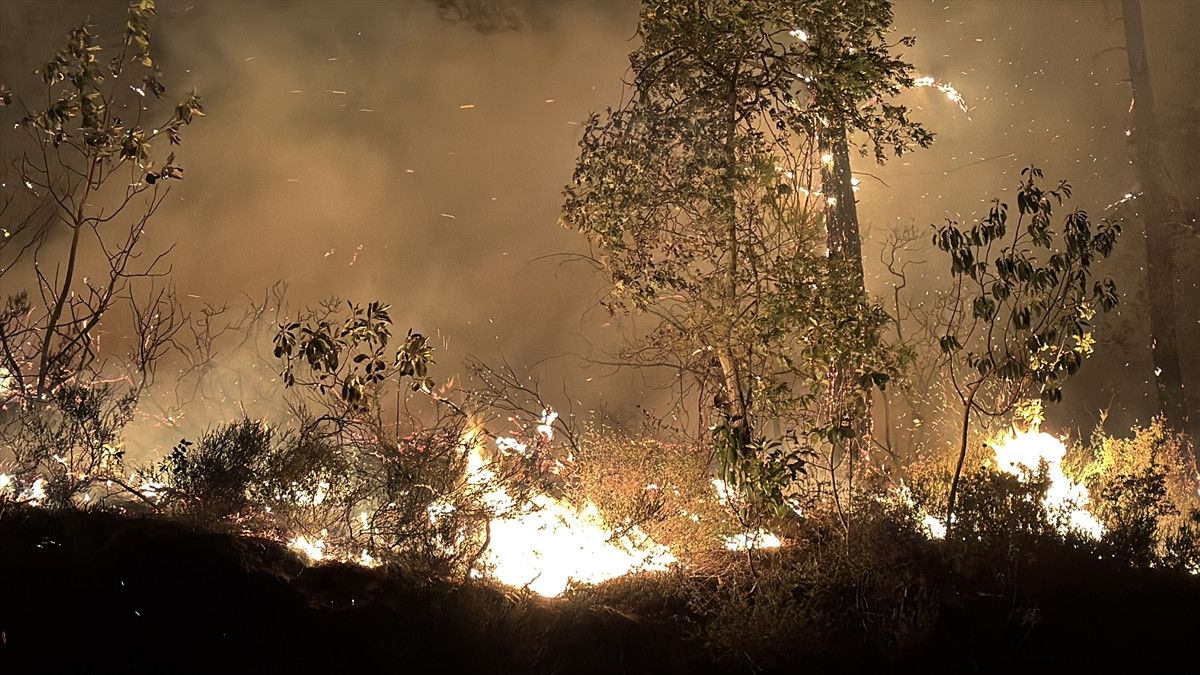 ibrahim yumakli turkiye genelindeki yanginlara iliskin son durumu paylasti 5 ZVA64JdI