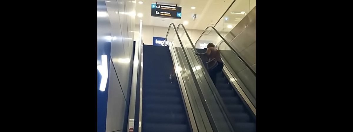 istanbulda yuruyen merdivene ters binen kedi gulumsetti 1 9APrdqKy