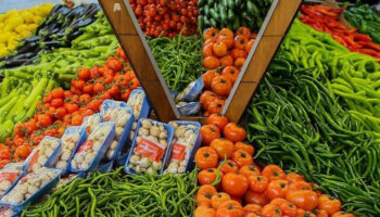 ito acikladi agustosta fiyati en cok artan ve azalan urunler vm55IygR