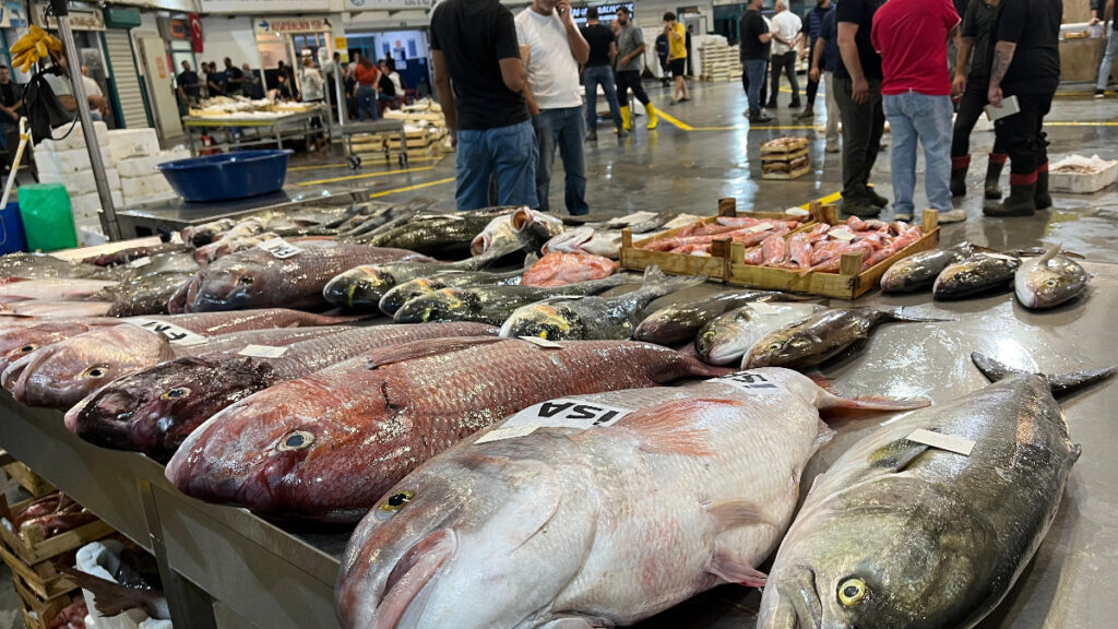 izmir balik hali deniz urunleriyle doldu BYb67V1Z