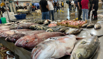 izmir balik hali deniz urunleriyle doldu BYb67V1Z