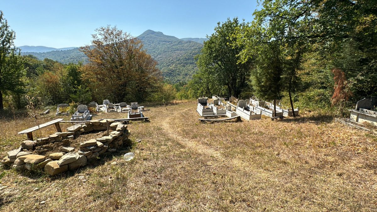 Karabük'te ayı mezarları talan etti 2 karabukte ayi mezarlari talan etti 1 SkThzW6p