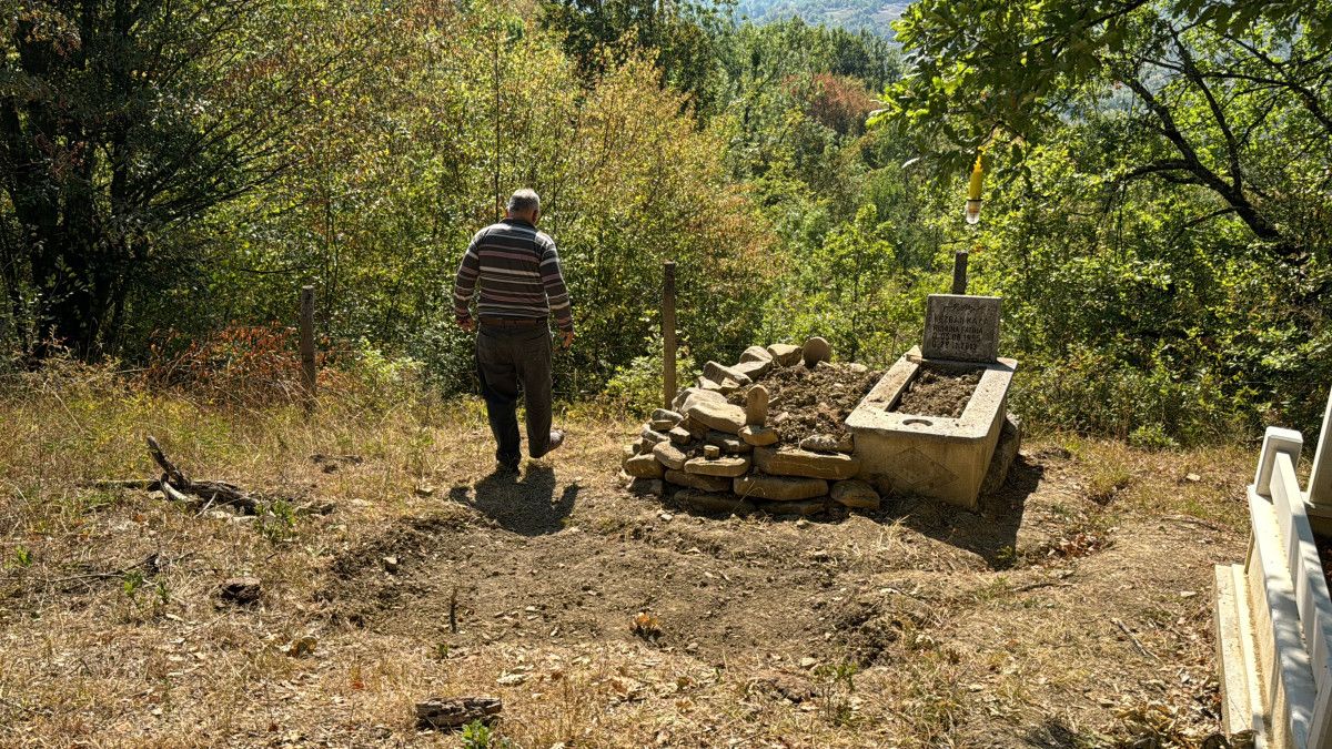 Karabük'te ayı mezarları talan etti 4 karabukte ayi mezarlari talan etti 3 ZTe86B2u