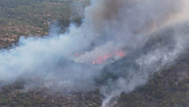 karabukte korkutan yangin 5 kisi gozaltina alindi xQ8h6KCt