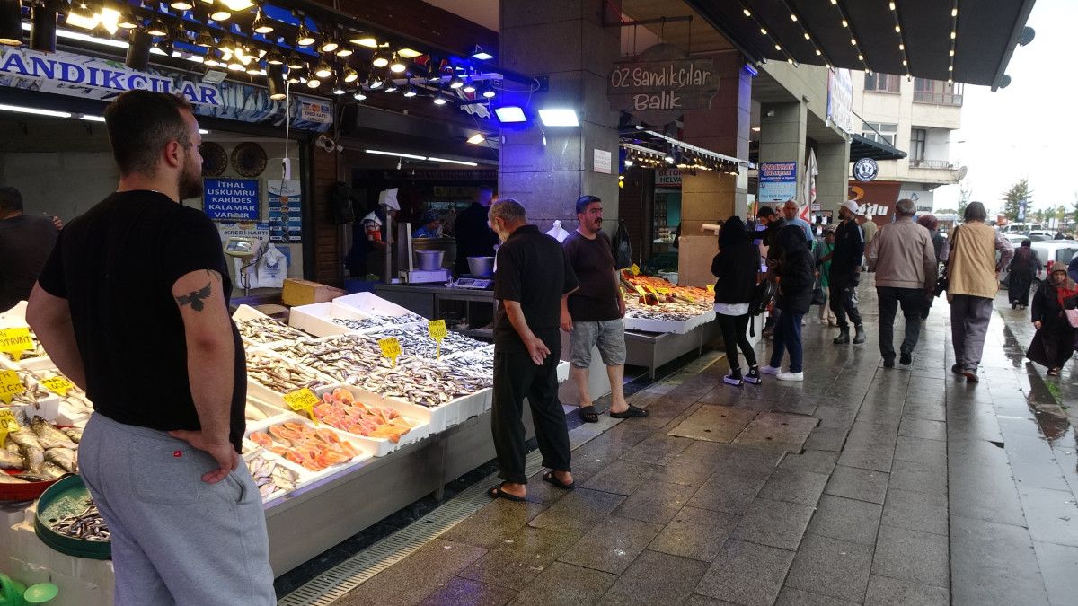 karadenizde hamsi bereketi suruyor 1 rFWyGiA1