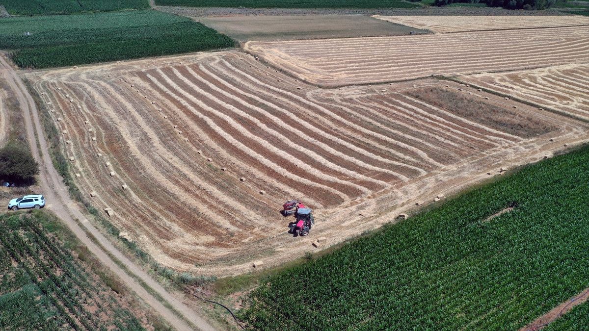 kastamonuda universite mezunu cift koyde ciftciligi secti 0 Y91yOSKv