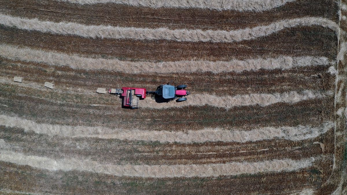 kastamonuda universite mezunu cift koyde ciftciligi secti 1 4iudgUrC