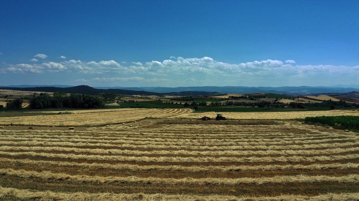 kastamonuda universite mezunu cift koyde ciftciligi secti 16 bA2qXtt8