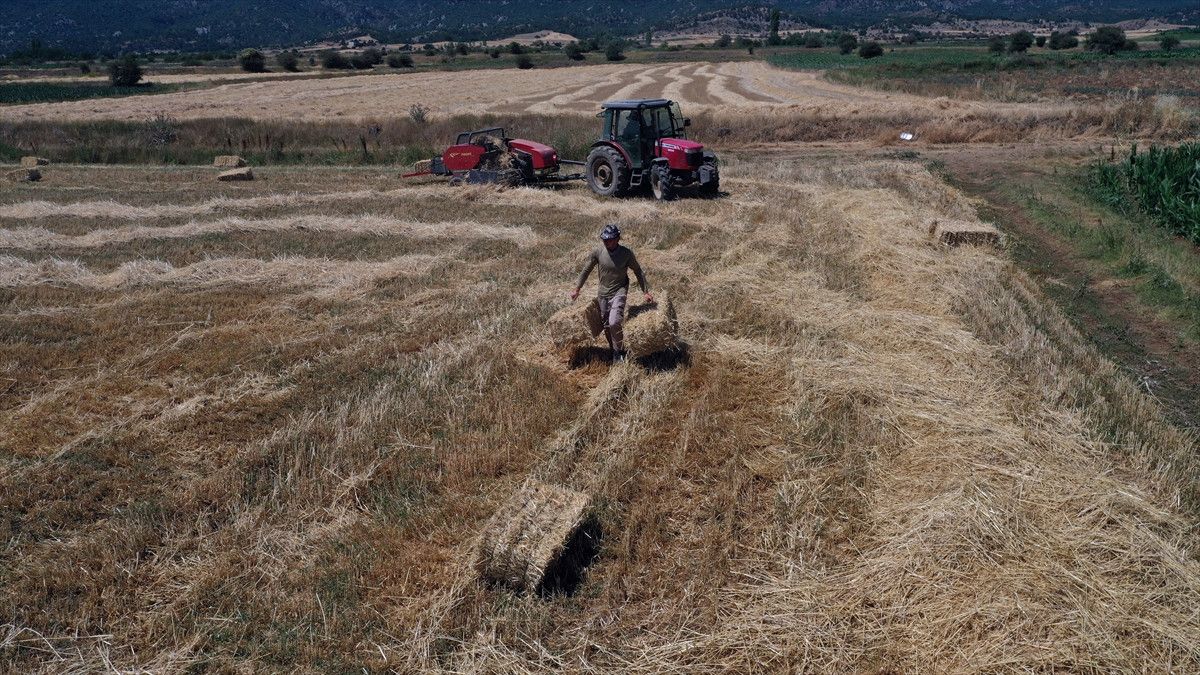 kastamonuda universite mezunu cift koyde ciftciligi secti 2 Q4R4LDOL