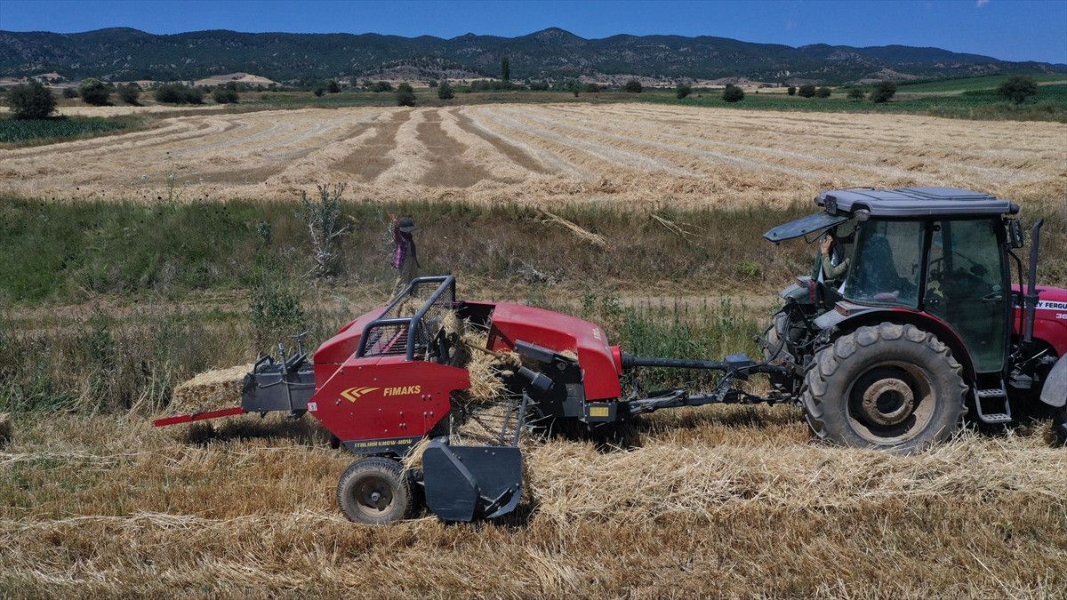 kastamonuda universite mezunu cift koyde ciftciligi secti 4