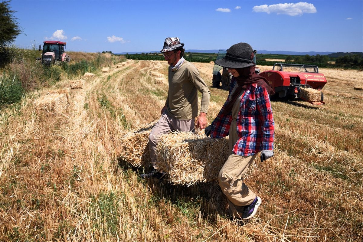 kastamonuda universite mezunu cift koyde ciftciligi secti 8 wyay9QYH