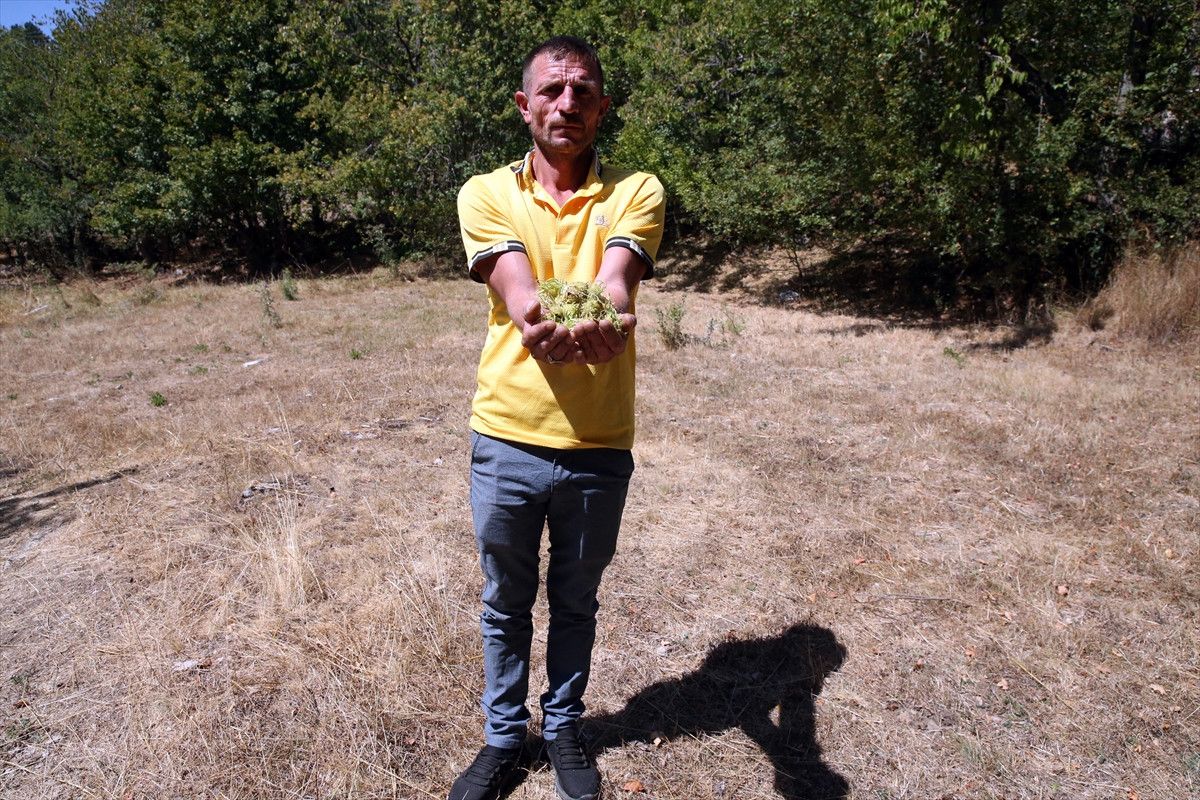 kastamonunun 5 asirlik turk findiklari 11 mO4V3lGf