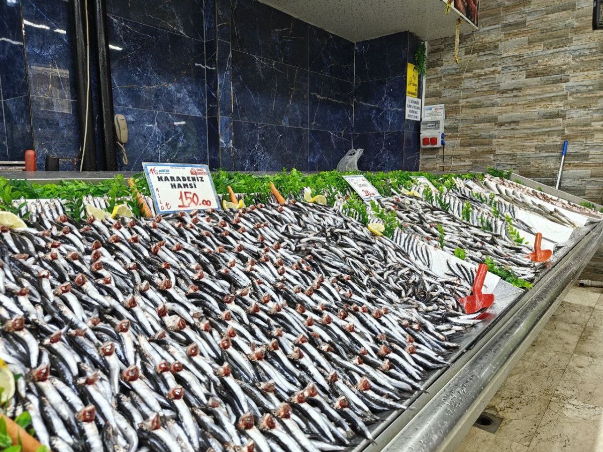 kayseride balik tezgahlari senlendi 2