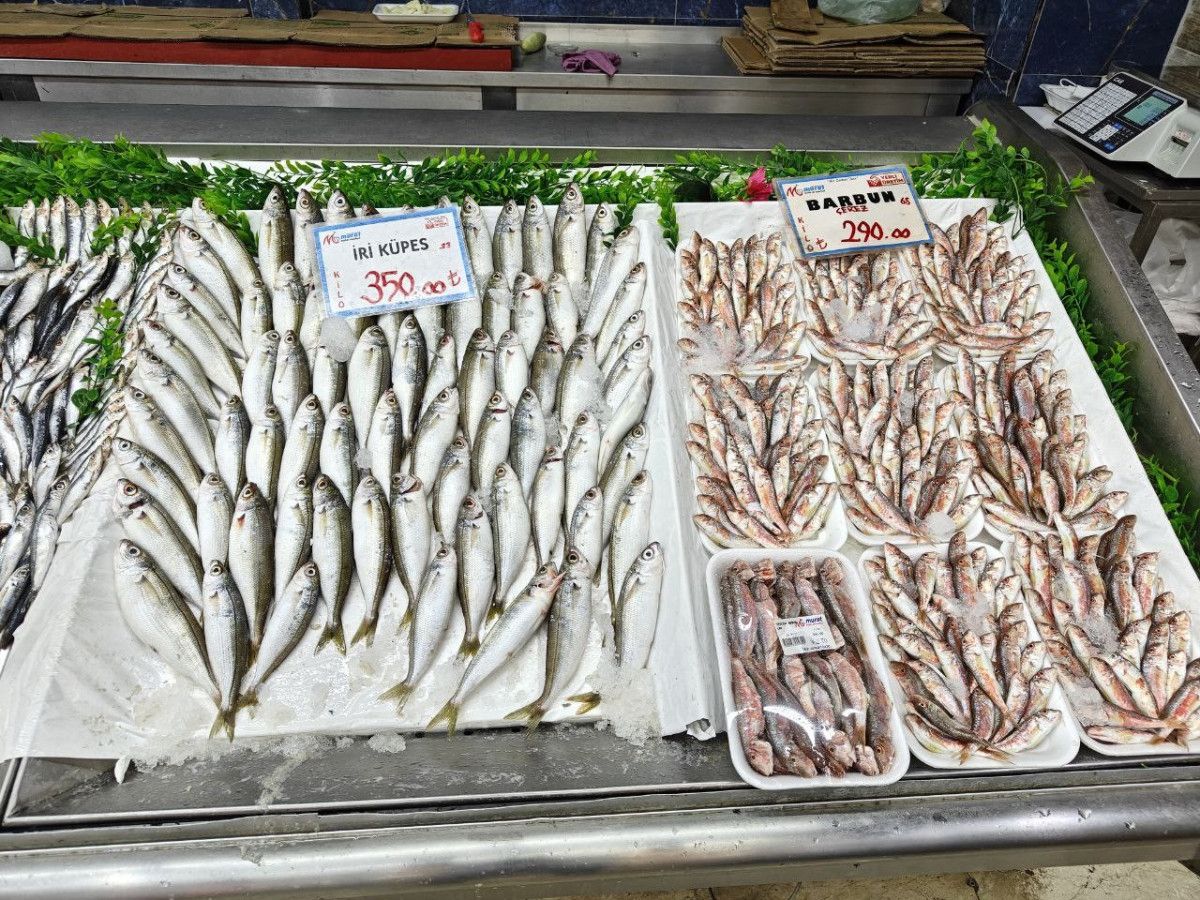 kayseride balik tezgahlari senlendi 5 p6V675cv