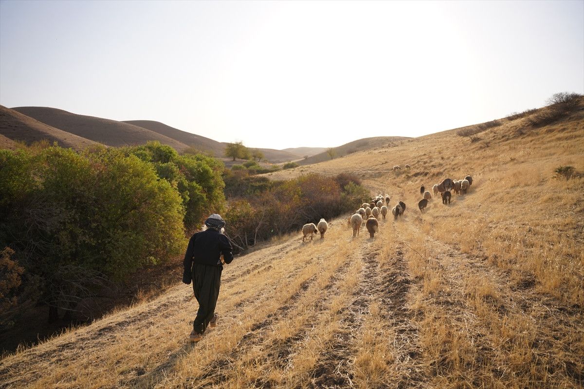 kerkuklu coban cocuklara kuran i kerim sevgisi asiliyor 10 vZ3OdfC2