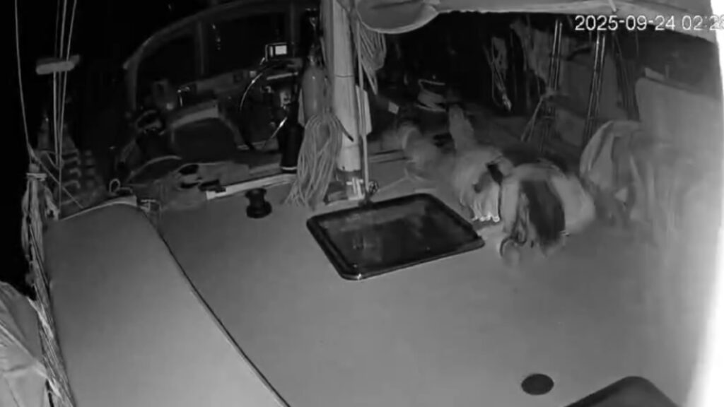 kuresel sumud filosuna ses bombalariyla saldiri jP4Z59F7