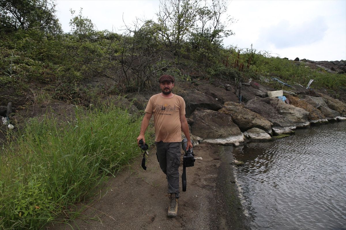 kus gozlemcisi alper tuydesten karadenizde rekor gozlem 0 bjelchcR