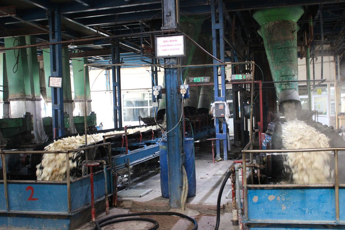 malatyada bu yil 500 bin ton pancar islenerek 62 bin ton seker elde edilecek MGgOuHkN