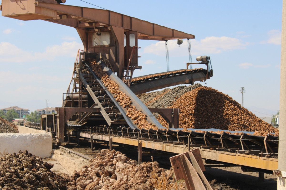 malatyada bu yil 500 bin ton pancar islenerek 62 bin ton seker elde edilecek kvDtcwG1