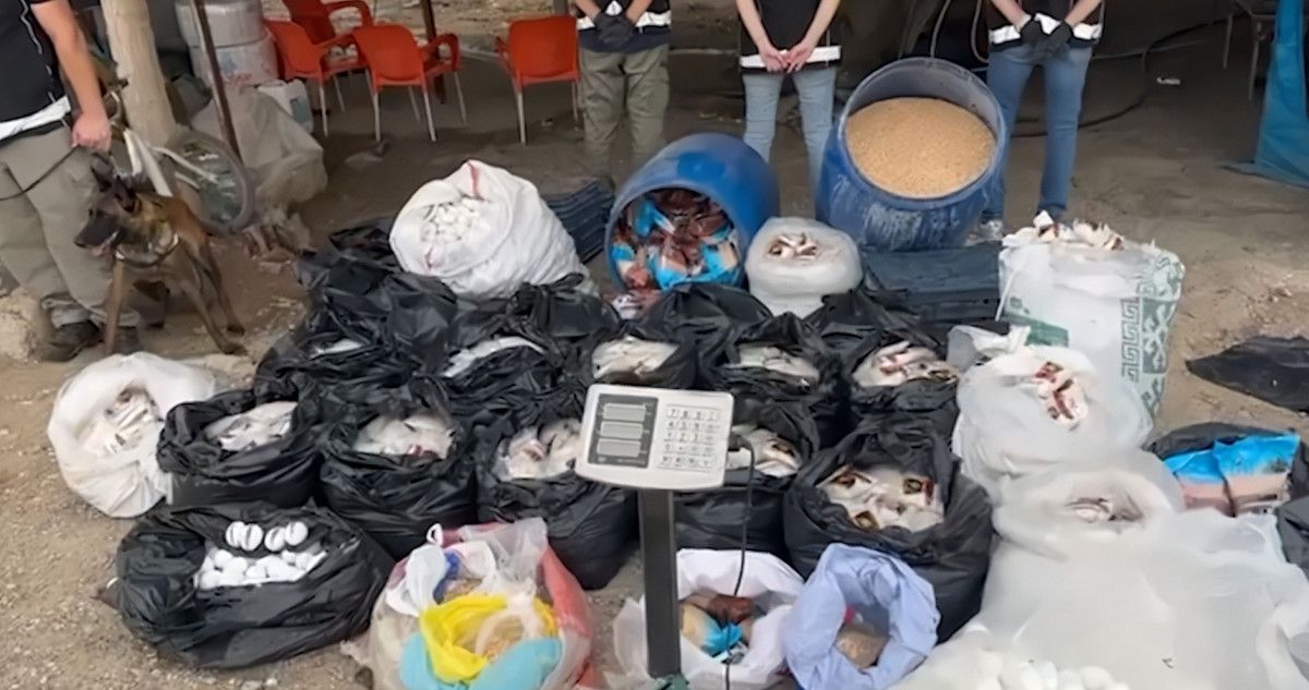 mersinde uyusturucu operasyonu 8 kisi yakalandi 4 vw8BRRMD