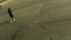 muglada molotoflu saldiriya iliskin yeni detaylar 7c5zuwBx