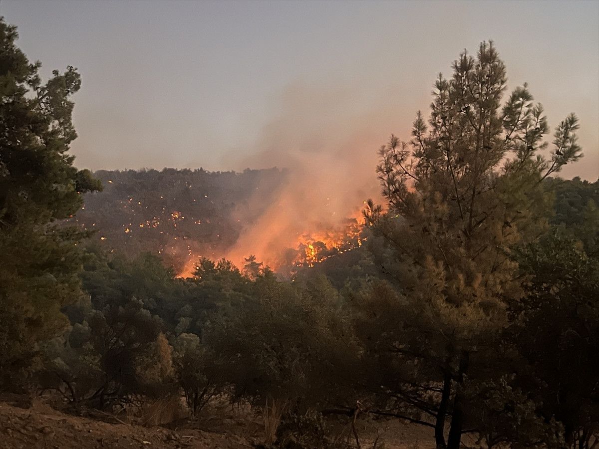 mugladaki yanginlarda son durum 218 ev bosaltildi 582 kisi tahliye edildi 0 YkcNu9bD