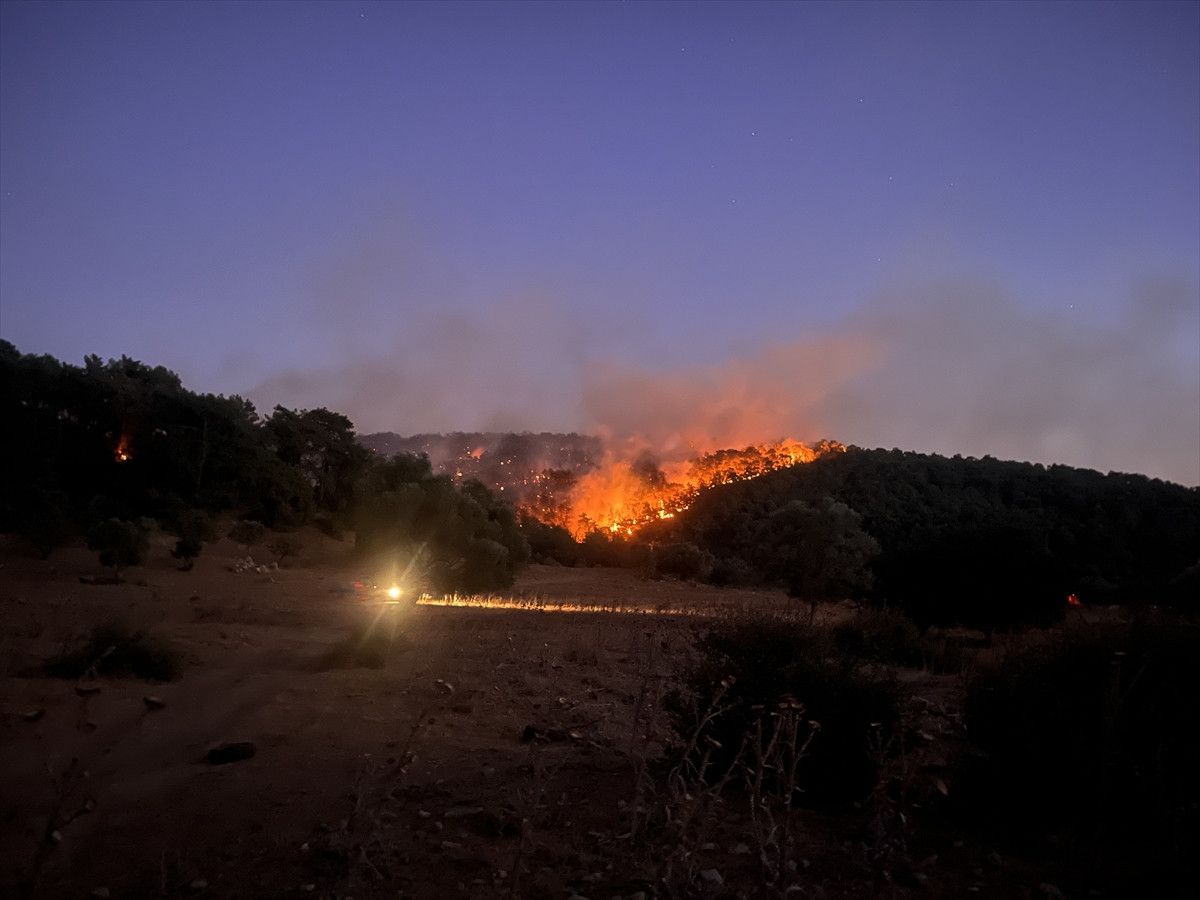 mugladaki yanginlarda son durum 218 ev bosaltildi 582 kisi tahliye edildi 1 N6UStSLE