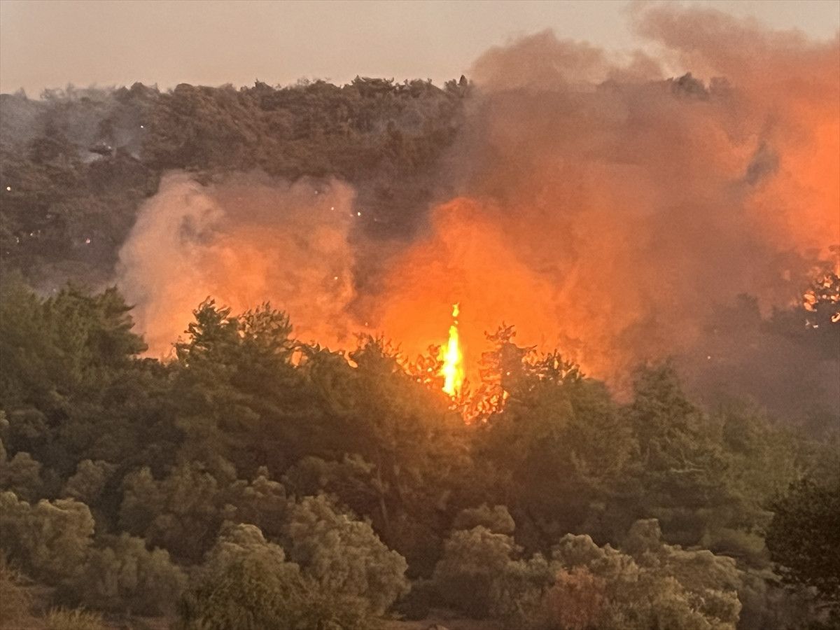 mugladaki yanginlarda son durum 218 ev bosaltildi 582 kisi tahliye edildi 2 kym6lV2D