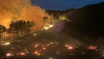mugladaki yanginlarda son durum 218 ev bosaltildi 582 kisi tahliye edildi SdXnDazr