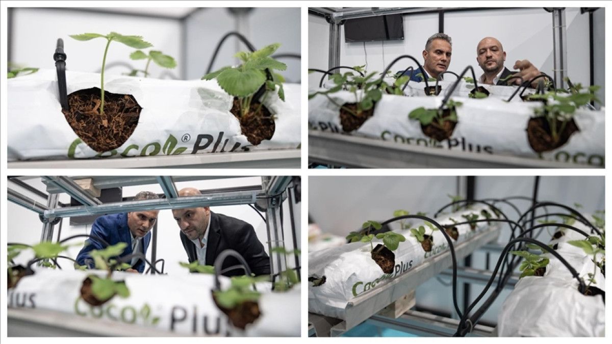 muhendis kardeslerden yenilikci tarim cozumu 2 ZHCpCSAd