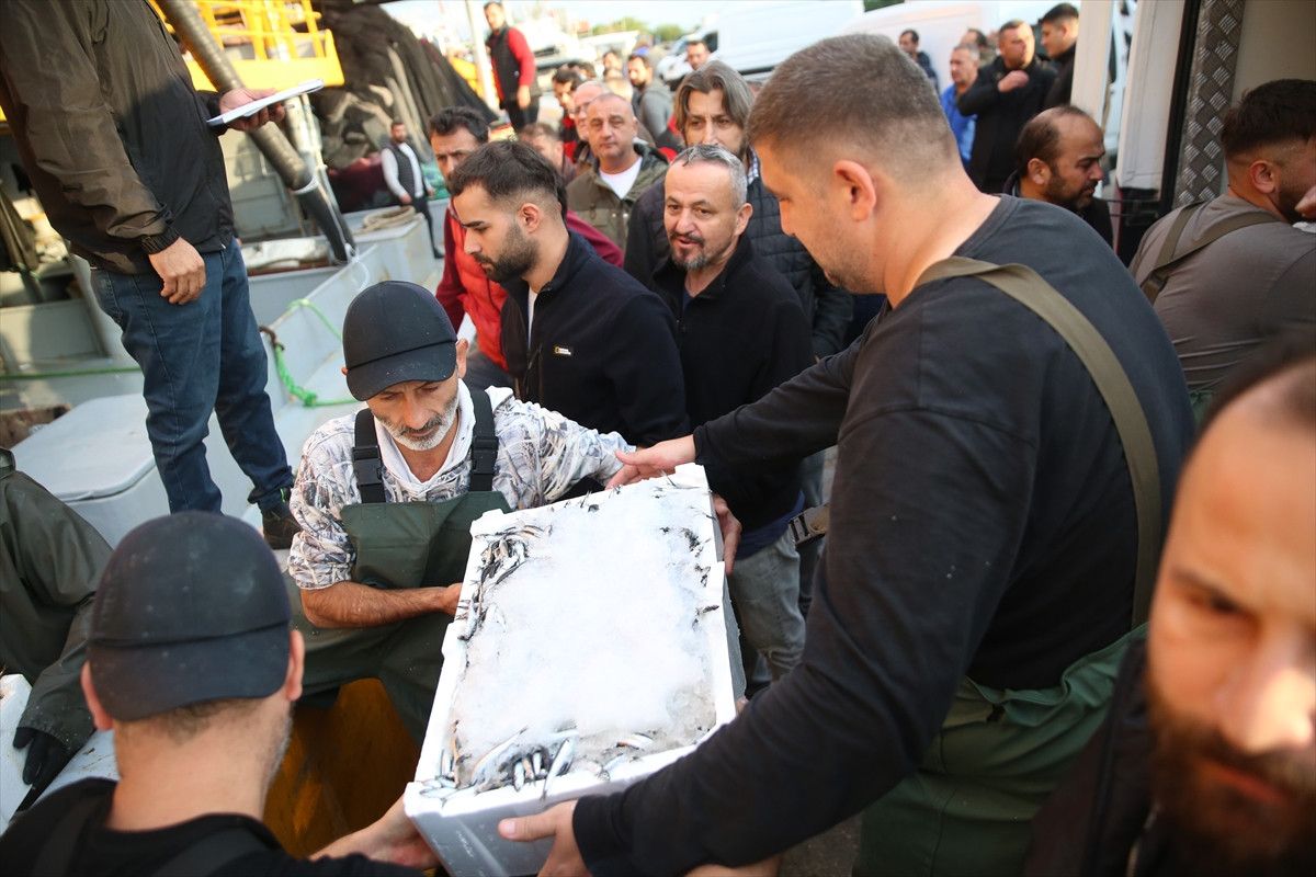 Ordu'da hamsi bolluğu balıkçıları sevindirdi 1 orduda hamsi bollugu balikcilari sevindirdi 0 H9KPd4XM