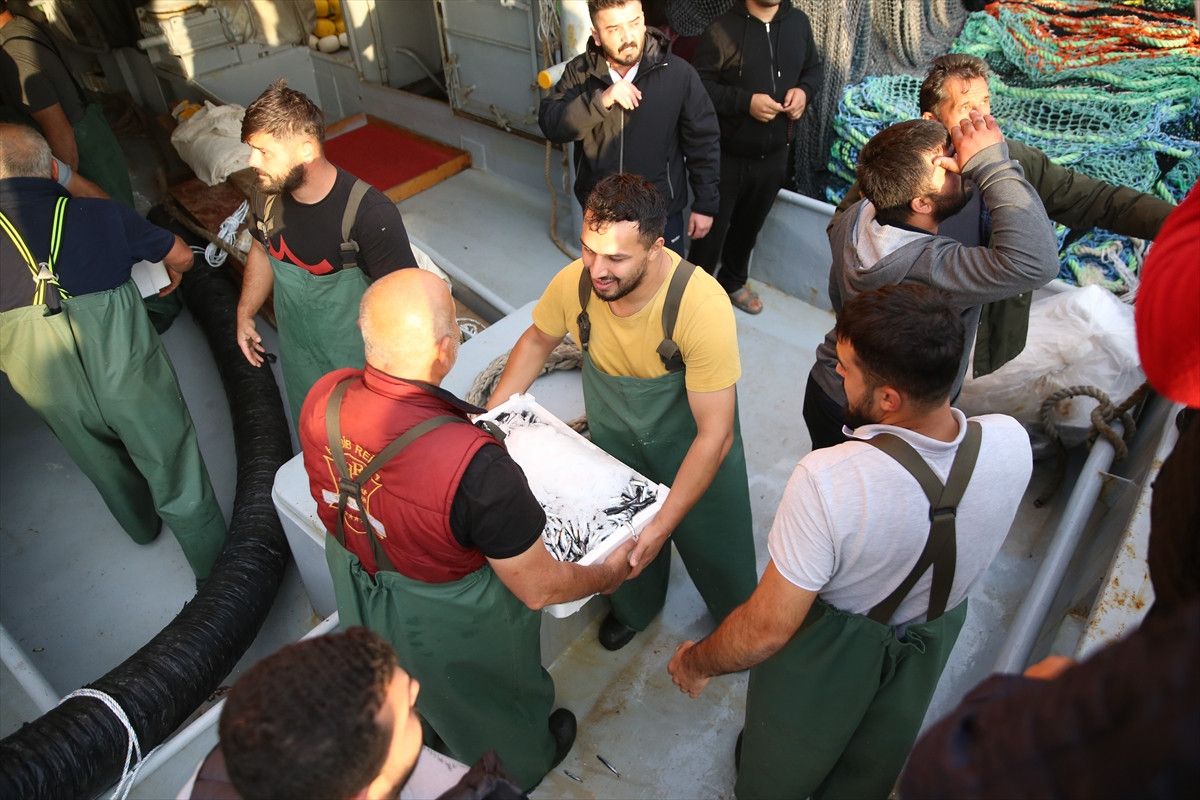 Ordu'da hamsi bolluğu balıkçıları sevindirdi 2 orduda hamsi bollugu balikcilari sevindirdi 1 nCytcwD5