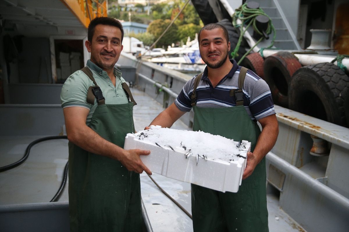 Ordu'da hamsi bolluğu balıkçıları sevindirdi 5 orduda hamsi bollugu balikcilari sevindirdi 4