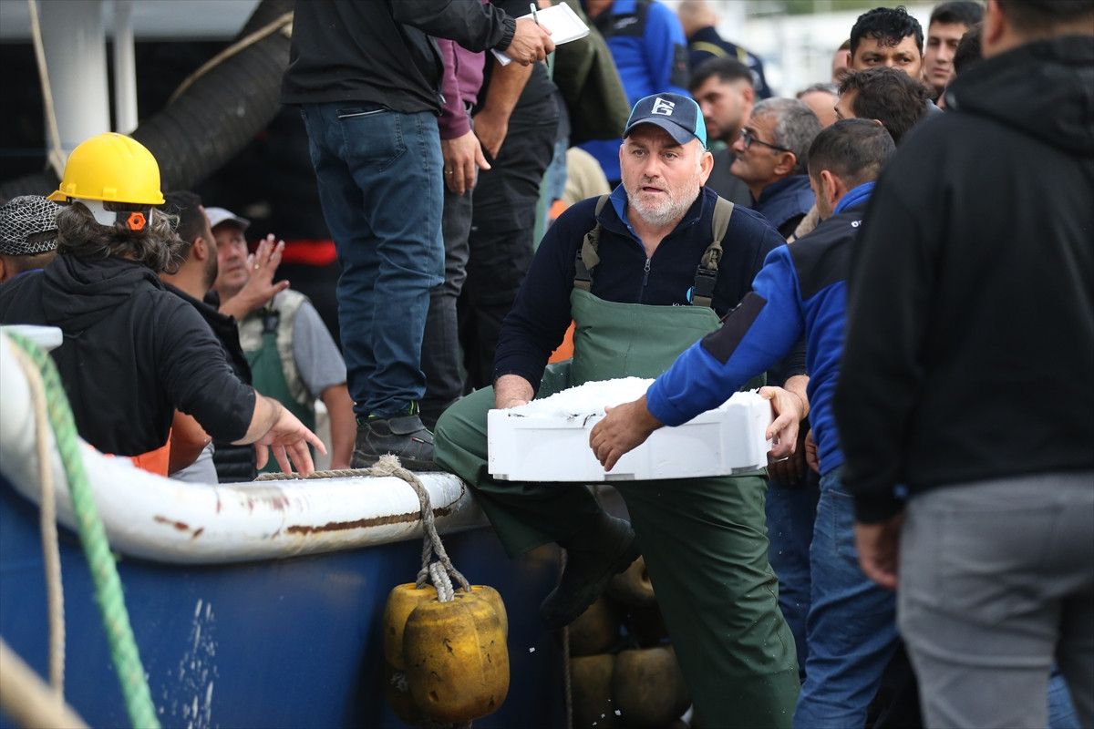 Ordu'da hamsi bolluğu balıkçıları sevindirdi 7 orduda hamsi bollugu balikcilari sevindirdi 6 86dHjnuy