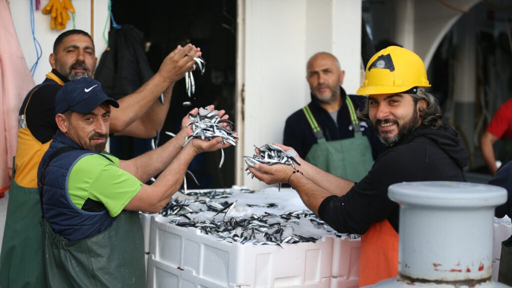 orduda hamsi bollugu balikcilari sevindirdi zkPVOzCP