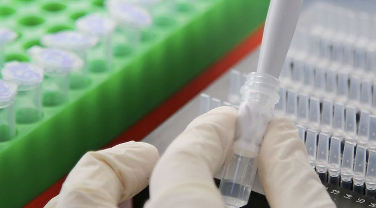 rusya kanser asisinin kullanima hazir oldugunu ve tum hastalara ucretsiz sunulacagini duyurdu 0 1gqe1GH2