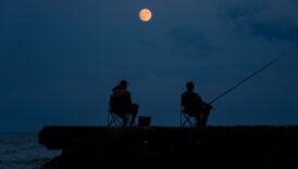 sinopta siskin ay goz kamastirdi YRfK5FMM