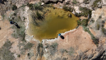 sivasta sifali olduguna inanilan uyuz golu ziyaretci akinina ugruyor qHzbVYDm