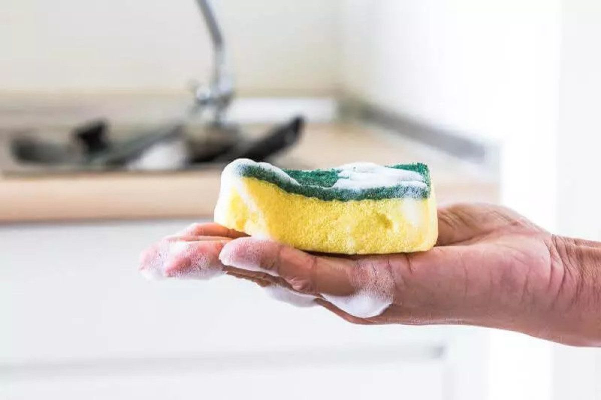 sungerin uzerine tuz serpin o etkilerin hepsinden yararlanin 0 pfiVARyu